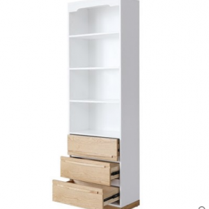 Preorder-Shelving unit