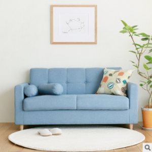 Preorder-Fabric two-seat sofa