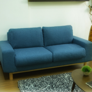 Preorder-Fabric two-seat sofa