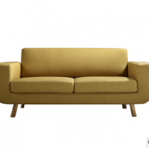 Preorder-Fabric two-seat sofa