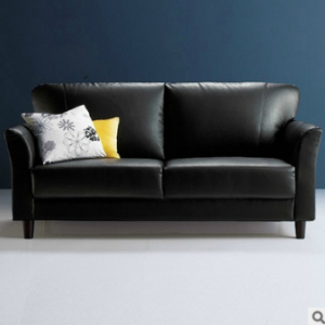 Preorder-Leather two-seat sofa