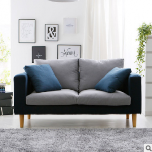 Preorder-Fabric two-seat sofa