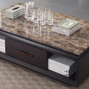 Preorder-Coffee table