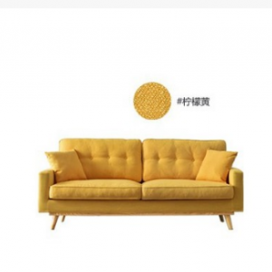 Preorder-Fabric two-seat sofa