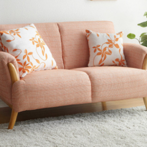 Preorder-Fabric two-seat sofa