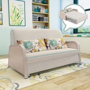 Preorder-sofa bed