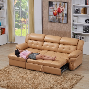 Preorder-sofa bed