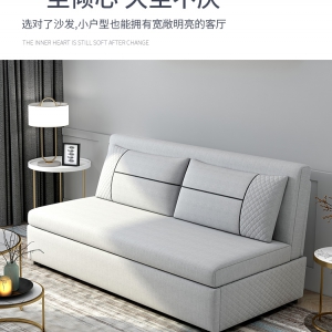 【A.SG】Sofas beds